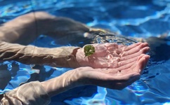 不知火舞轮奸聚会